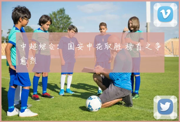 中超综合：国安申花取胜 榜首之争愈烈